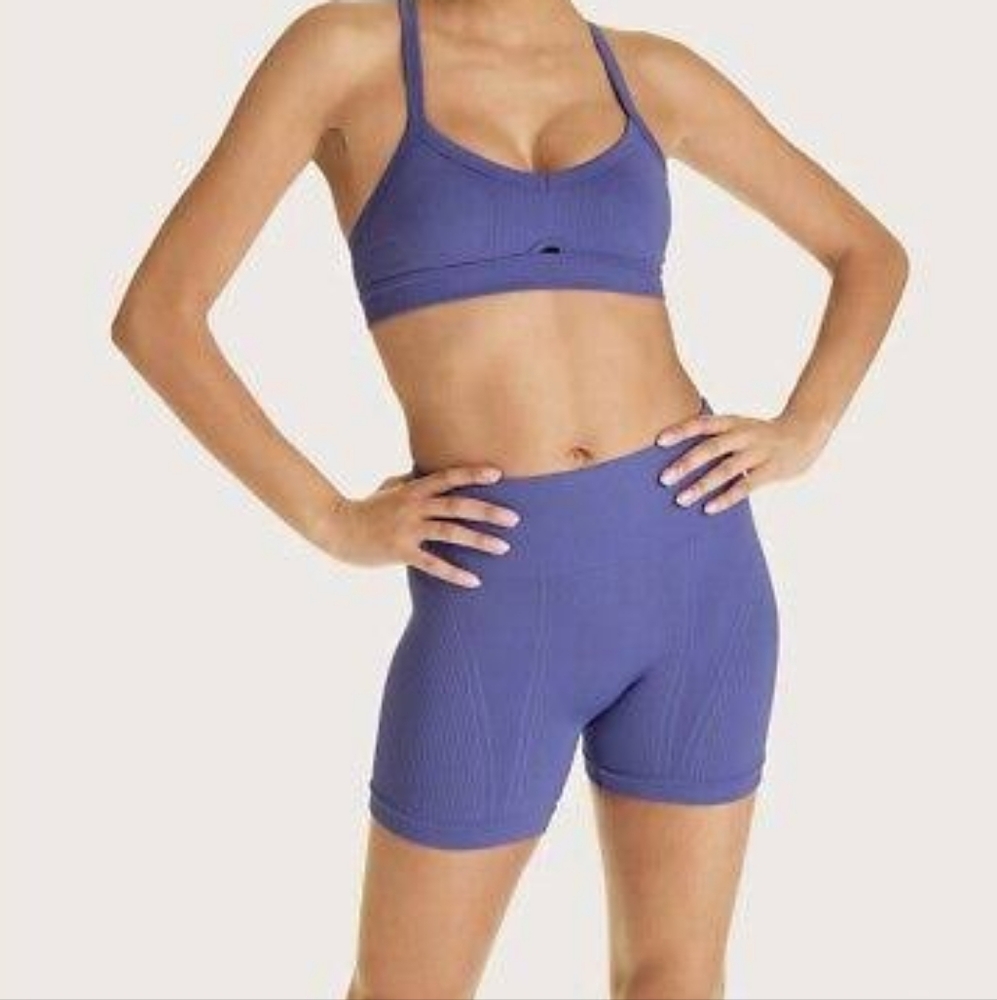 NWOT Barre Seamless Shorts In Periwinkle